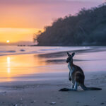Mackay, Queensland