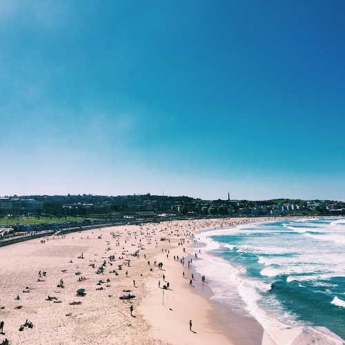 Bondi Beach Canva