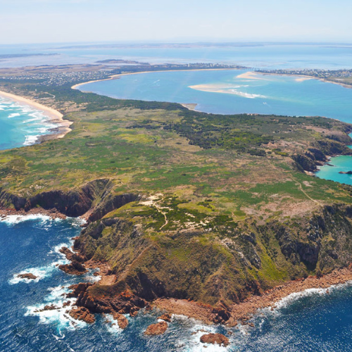 Mungo Valley Canva (1)