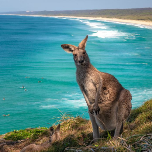 Mungo Valley Canva (9)